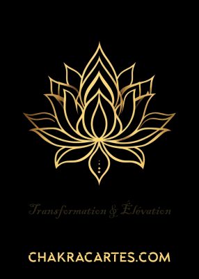Transformation & Élévation8